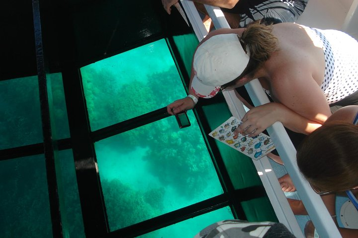 Glass Bottom Boat